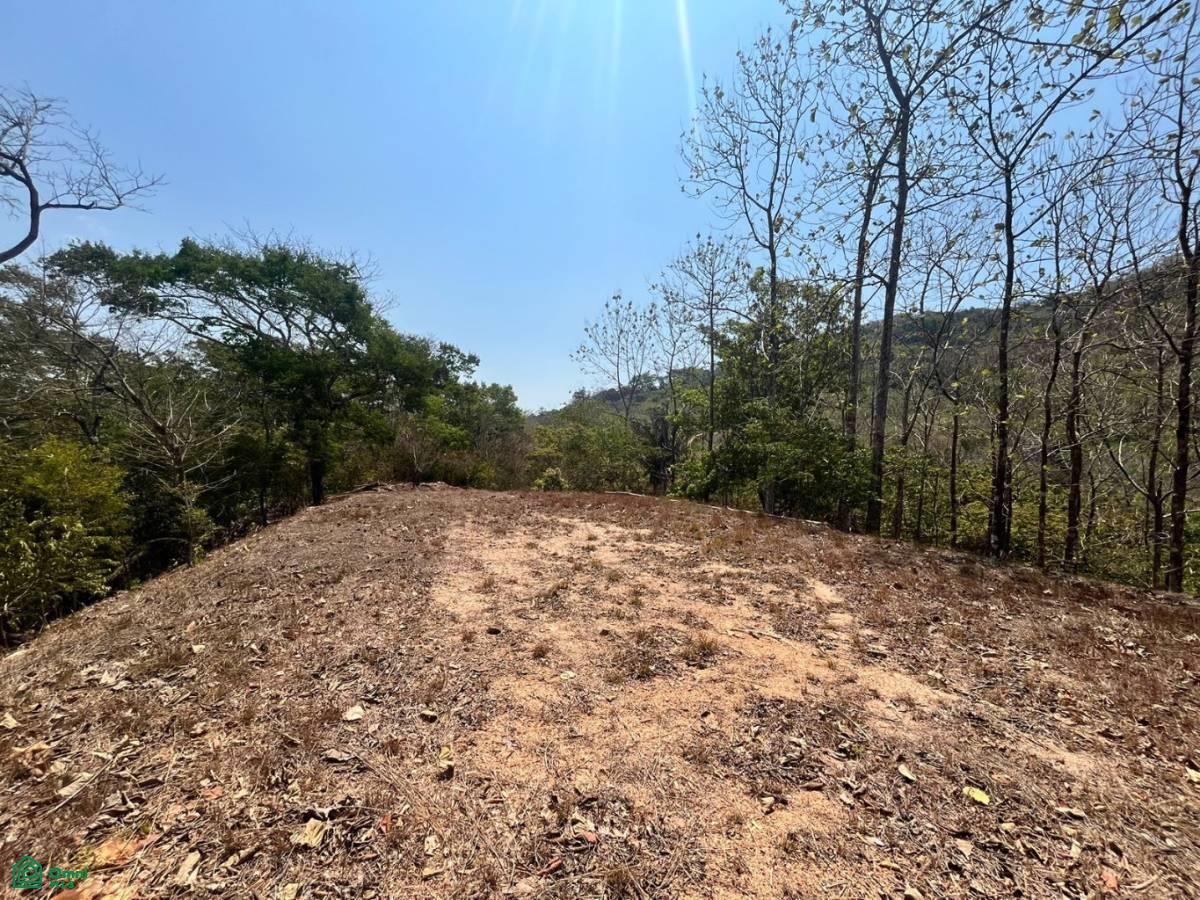 Large River Lot 1.75 acre in Camaronal