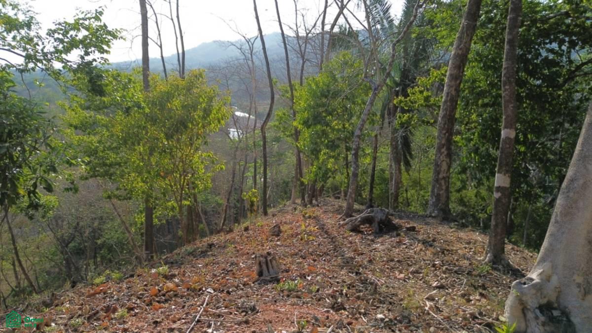 Large River Lot 1.75 acre in Camaronal