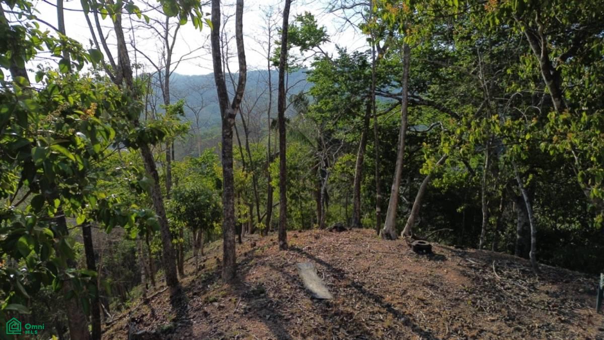 Large River Lot 1.75 acre in Camaronal