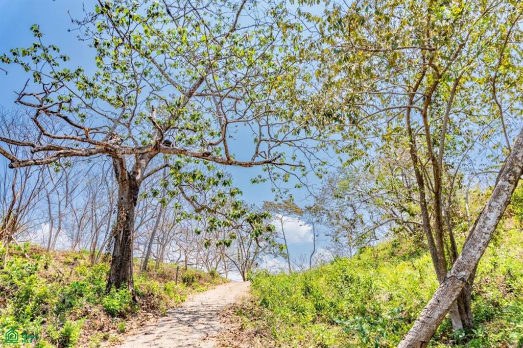 16 Acre Finca Sueño del Mar / Samara, Nicoya