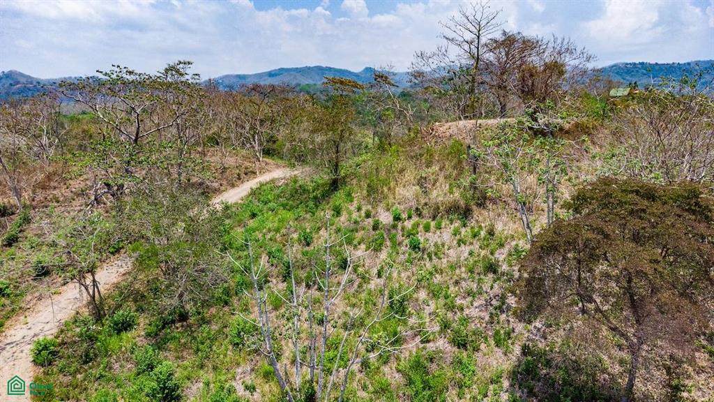 16 Acre Finca Sueño del Mar / Samara, Nicoya
