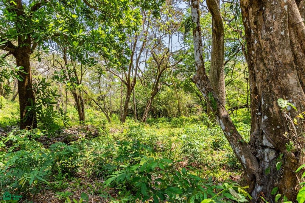 16 Acre Finca Sueño del Mar / Samara, Nicoya