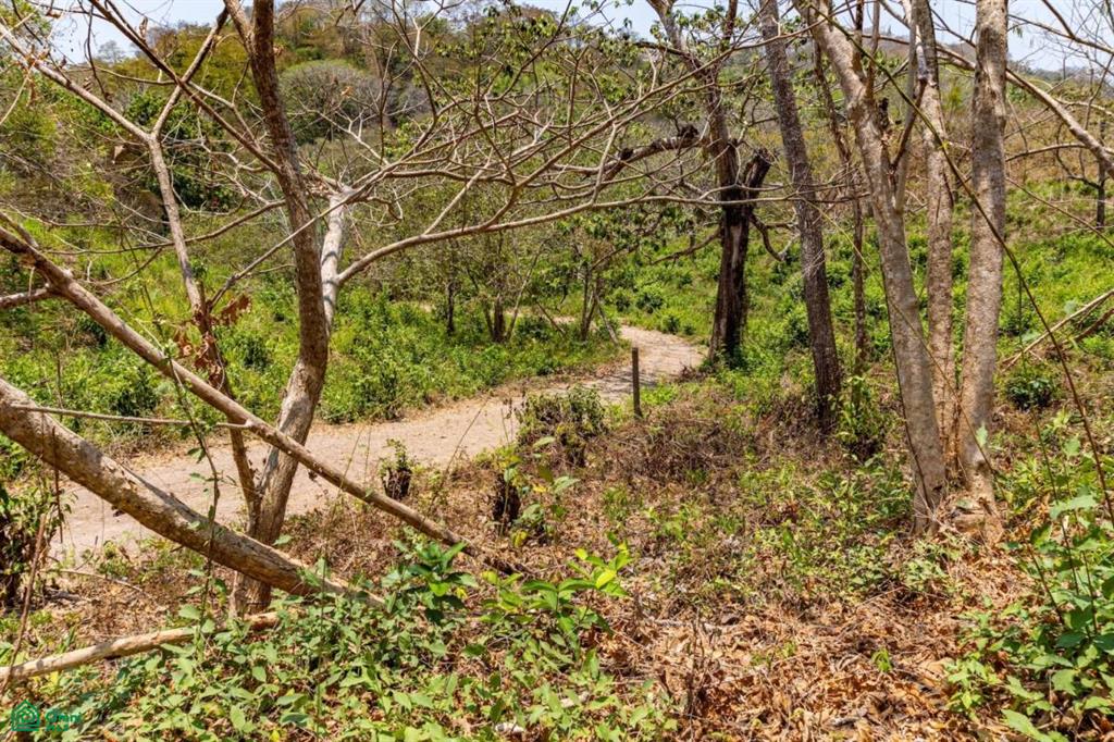16 Acre Finca Sueño del Mar / Samara, Nicoya