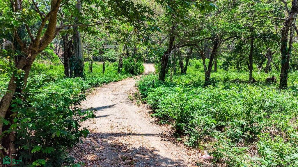 16 Acre Finca Sueño del Mar / Samara, Nicoya