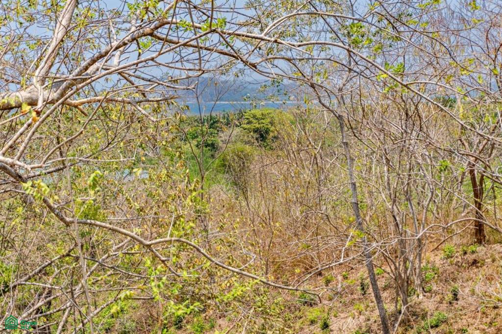 16 Acre Finca Sueño del Mar / Samara, Nicoya