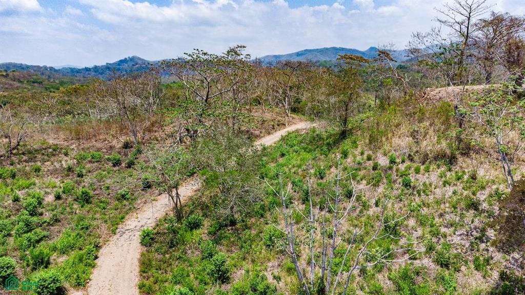 16 Acre Finca Sueño del Mar / Samara, Nicoya