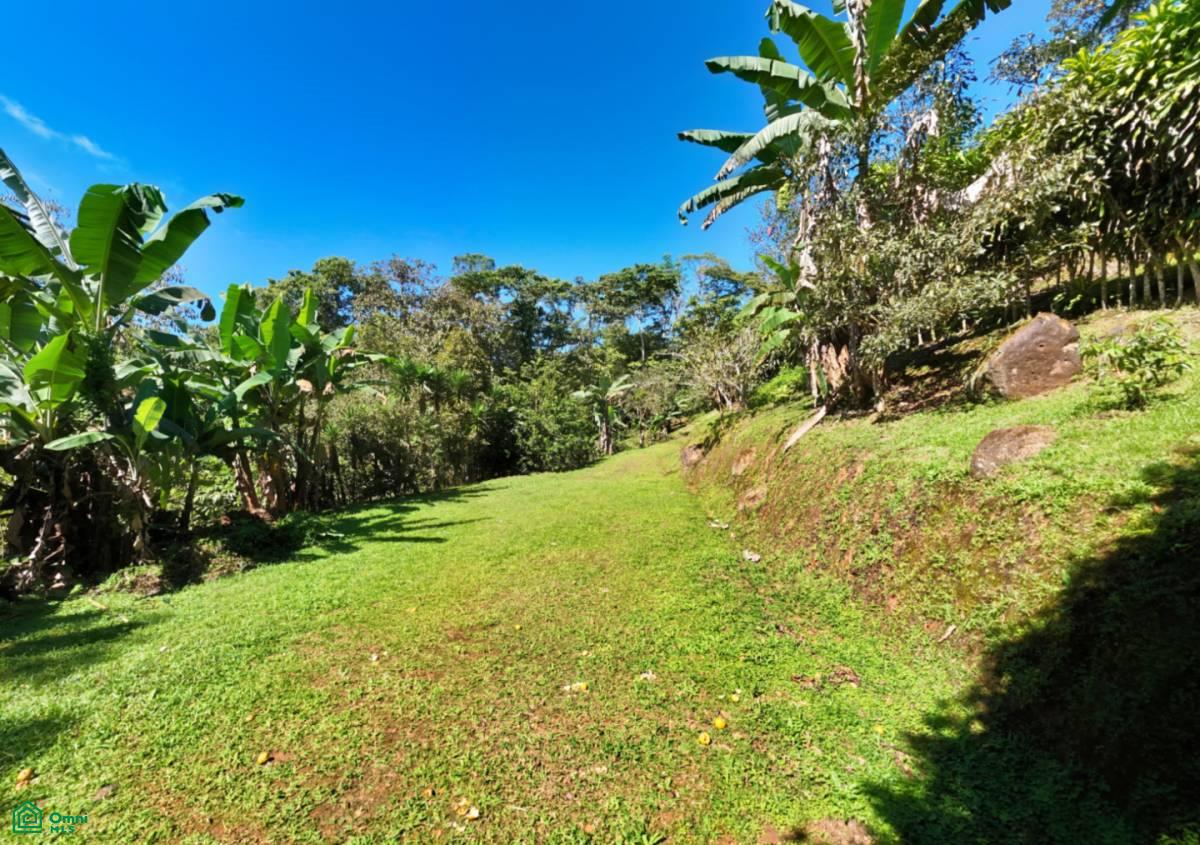 A Paradise at 1000m Altitude in Alto San Juan, Perez Zeledon , San Isidro del General, Perez Zeledon, San Jose