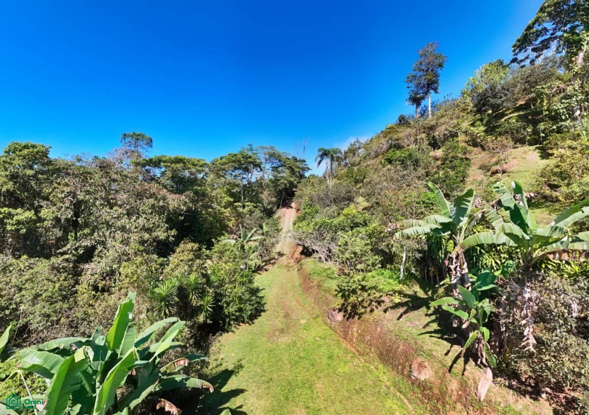 A Paradise at 1000m Altitude in Alto San Juan, Perez Zeledon , San Isidro del General, Perez Zeledon, San Jose