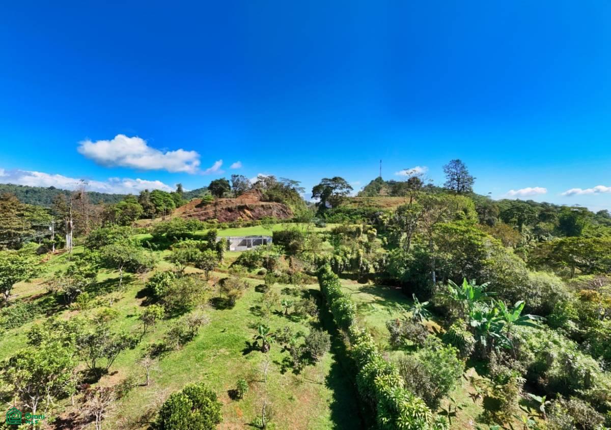 A Paradise at 1000m Altitude in Alto San Juan, Perez Zeledon , San Isidro del General, Perez Zeledon, San Jose
