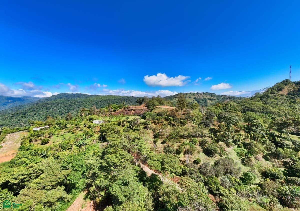 A Paradise at 1000m Altitude in Alto San Juan, Perez Zeledon , San Isidro del General, Perez Zeledon, San Jose