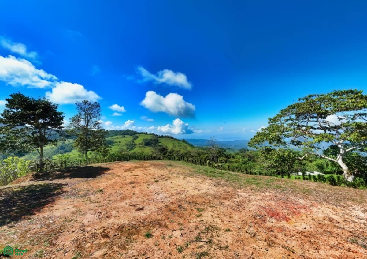 A Paradise at 1000m Altitude in Alto San Juan, Perez Zeledon , San Isidro del General, Perez Zeledon, San Jose
