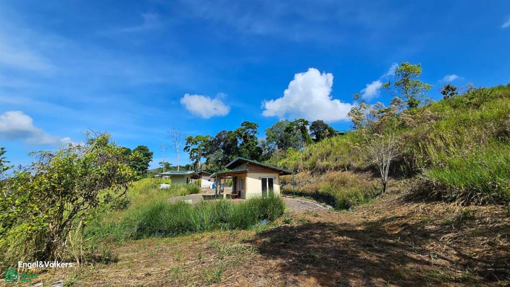 Finca Harmony in Platanillo, Perez Zeledon , Barú, Perez Zeledon, San Jose