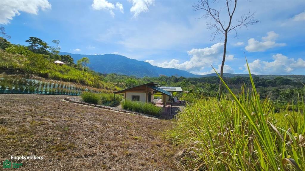 Finca Harmony in Platanillo, Perez Zeledon , Barú, Perez Zeledon, San Jose