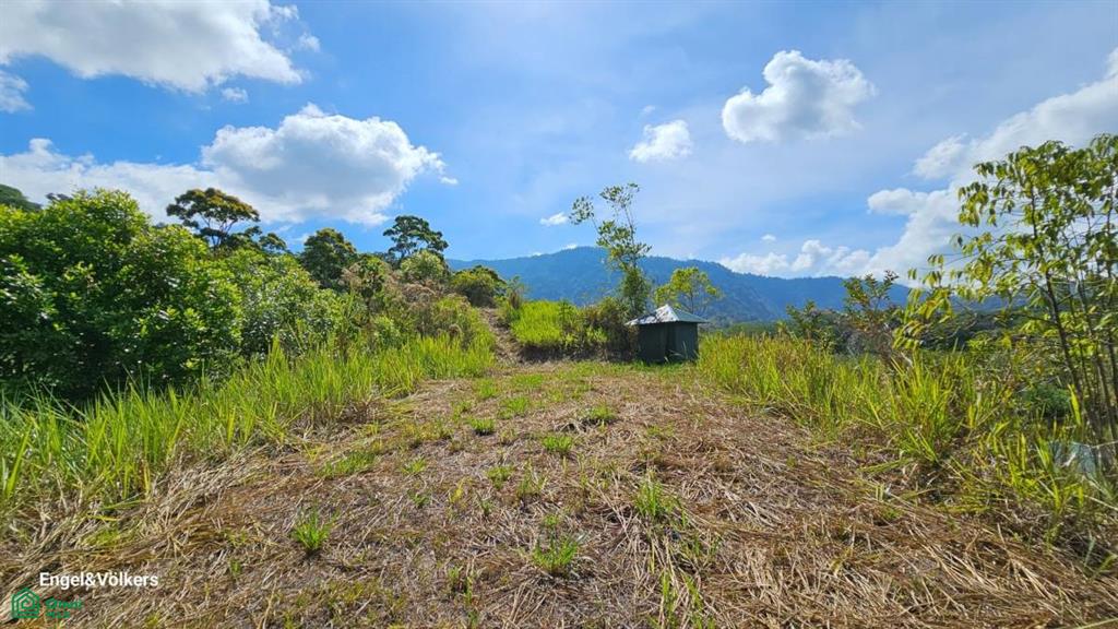 Finca Harmony in Platanillo, Perez Zeledon , Barú, Perez Zeledon, San Jose