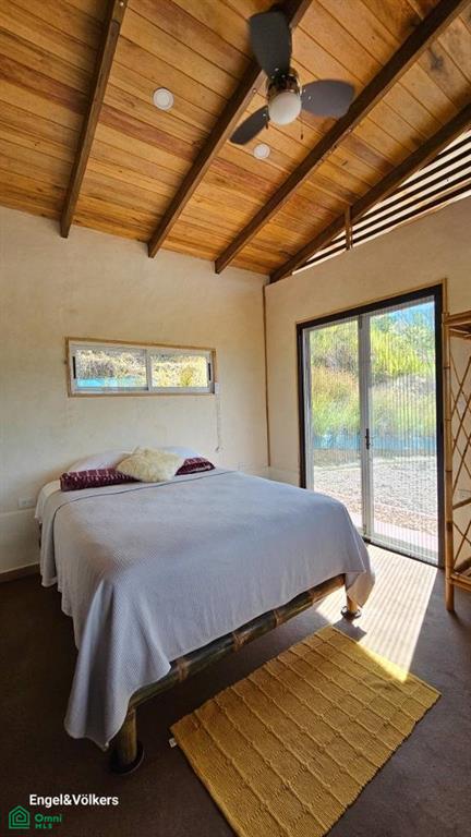 Finca Harmony in Platanillo, Perez Zeledon , Barú, Perez Zeledon, San Jose