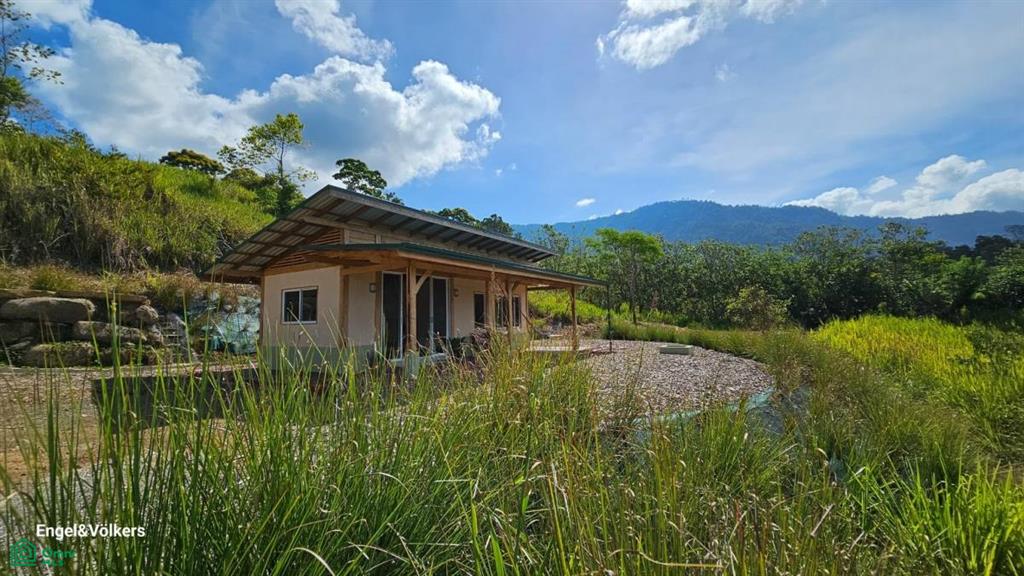 Finca Harmony in Platanillo, Perez Zeledon , Barú, Perez Zeledon, San Jose