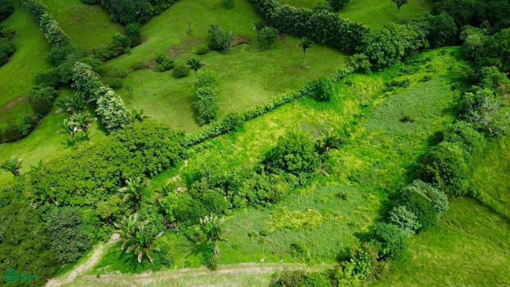 5,000 m2 Lot / Santa Marta, Hojancha