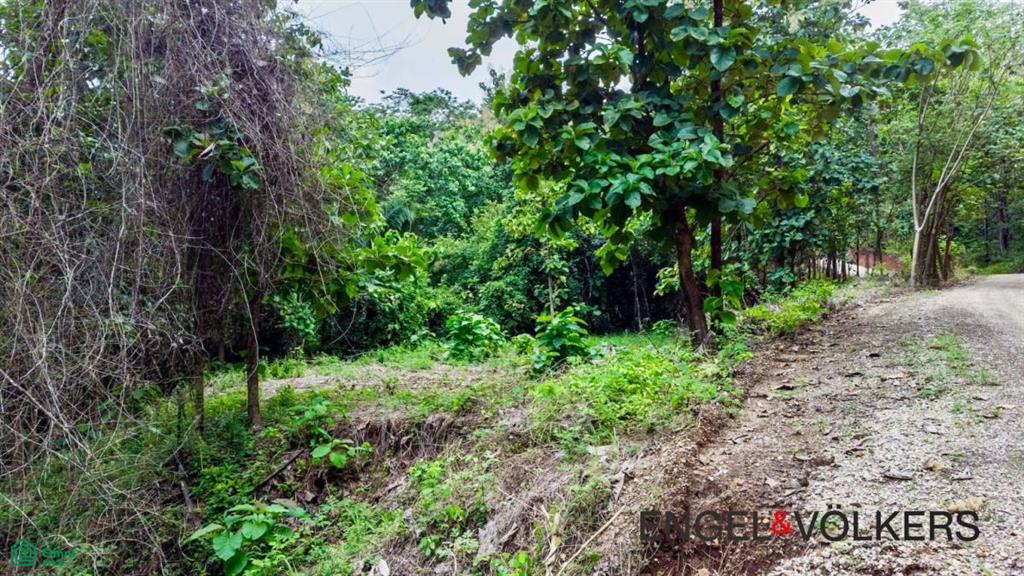 8,509 m2 River Lot / Santa Marta, Hojancha