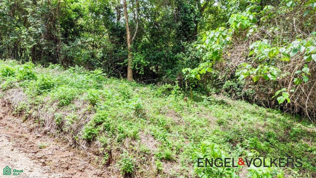 8,509 m2 River Lot / Santa Marta, Hojancha