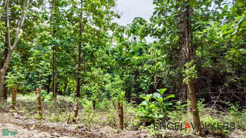 8,509 m2 River Lot / Santa Marta, Hojancha