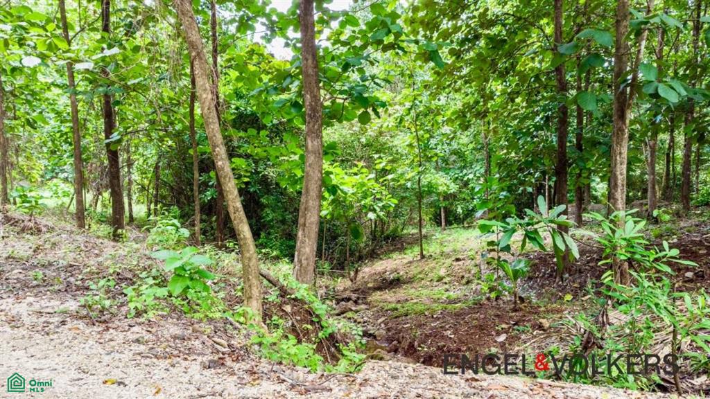 8,509 m2 River Lot / Santa Marta, Hojancha