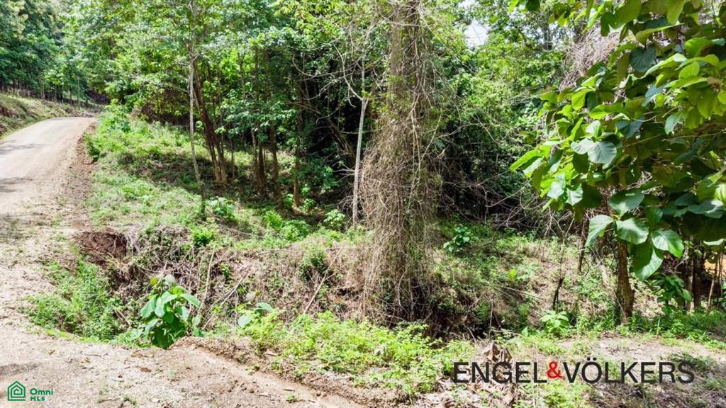 8,509 m2 River Lot / Santa Marta, Hojancha