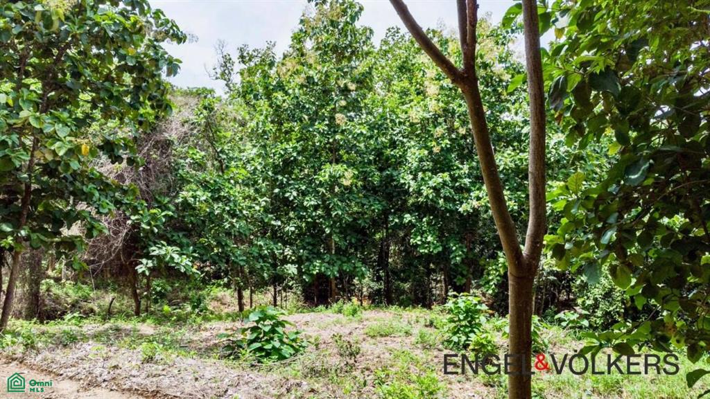 8,509 m2 River Lot / Santa Marta, Hojancha