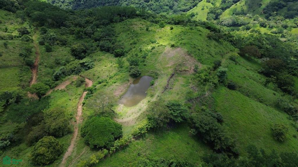 Finca Toro / , Huacas, Guanacaste