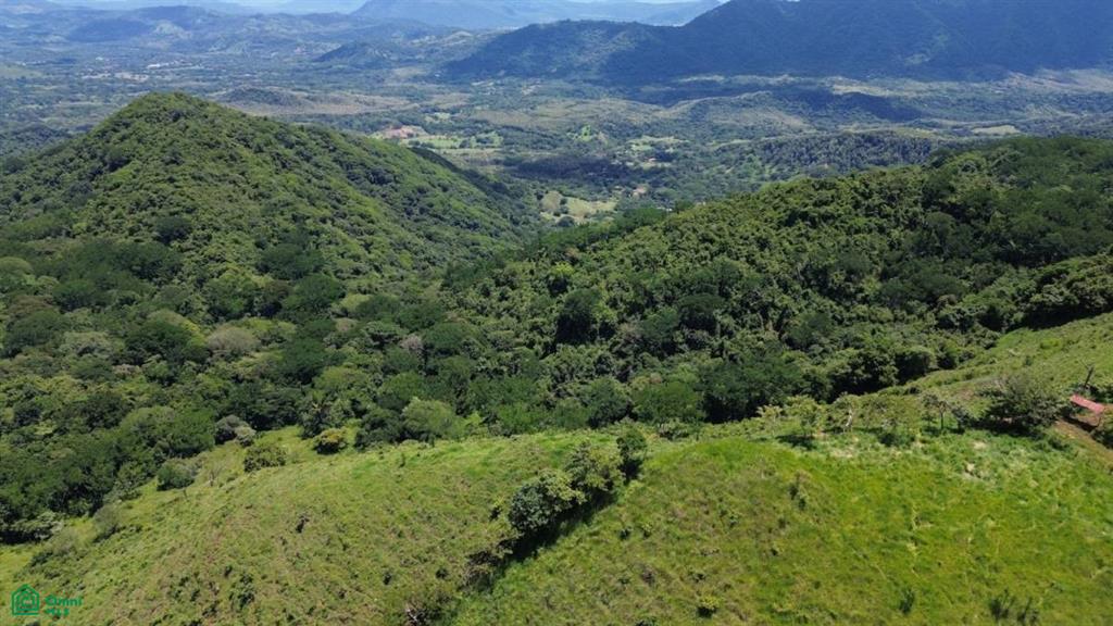 Finca Toro / , Huacas, Guanacaste