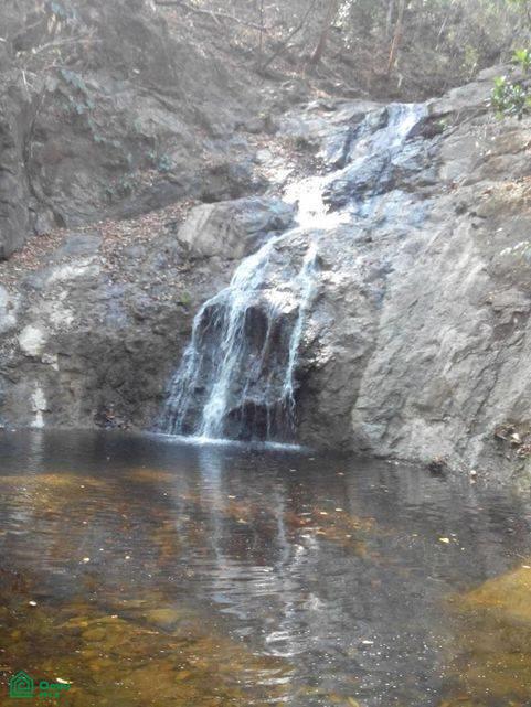 Finca Toro / , Huacas, Guanacaste