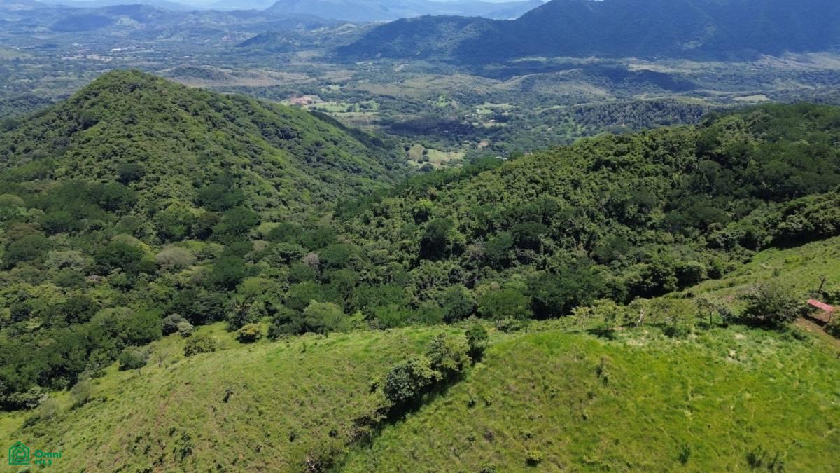 Finca Toro / , Huacas, Guanacaste