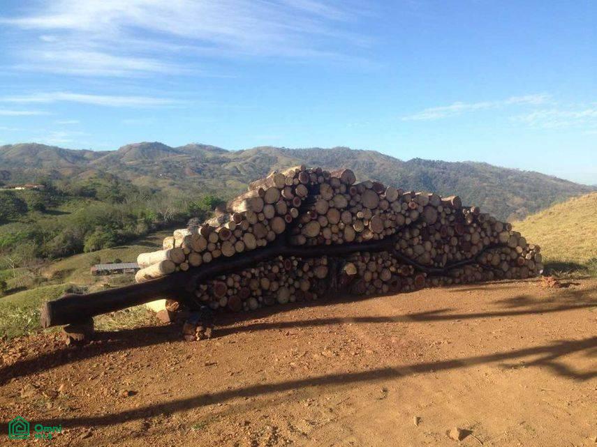 Finca Toro / , Huacas, Guanacaste