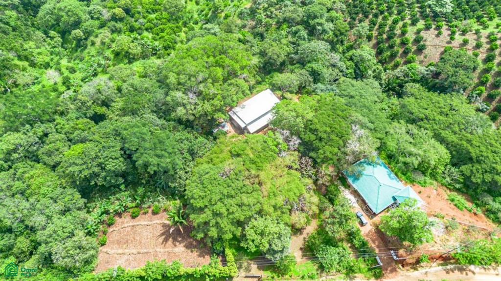 Casa Naranjal / Naranjal , Sámara, Guanacaste