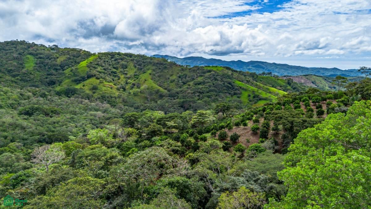 Casa Naranjal / Naranjal , Sámara, Guanacaste