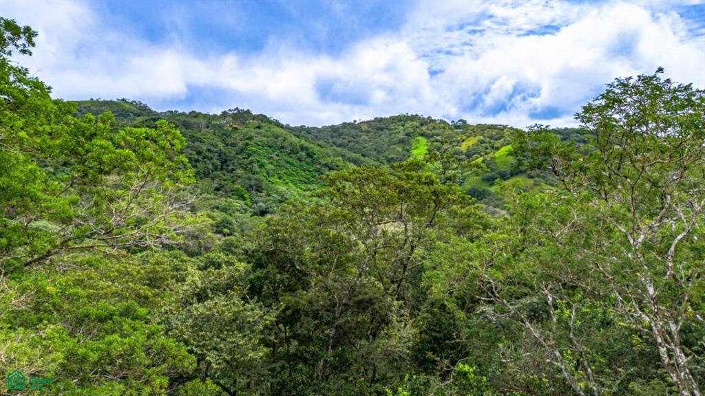 Casa Naranjal / Naranjal , Sámara, Guanacaste