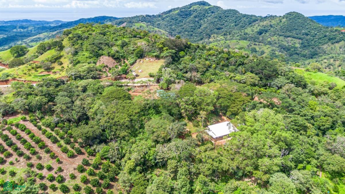 Casa Naranjal / Naranjal , Sámara, Guanacaste