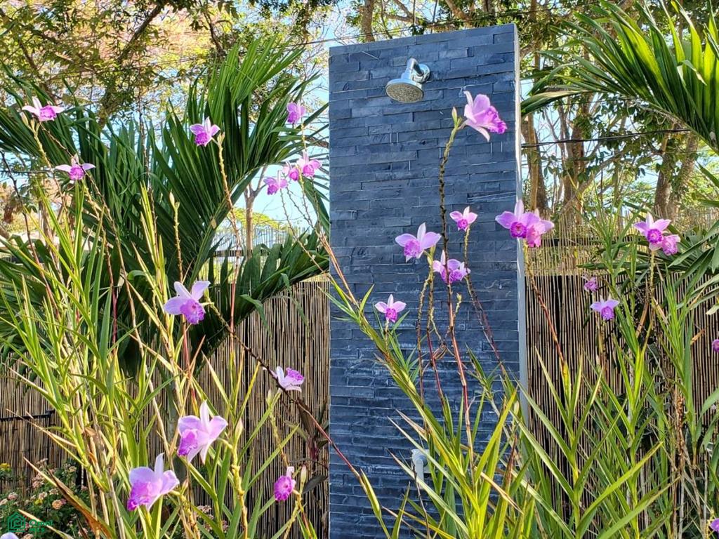 Coconut Life Cabinas / , Sámara, Guanacaste