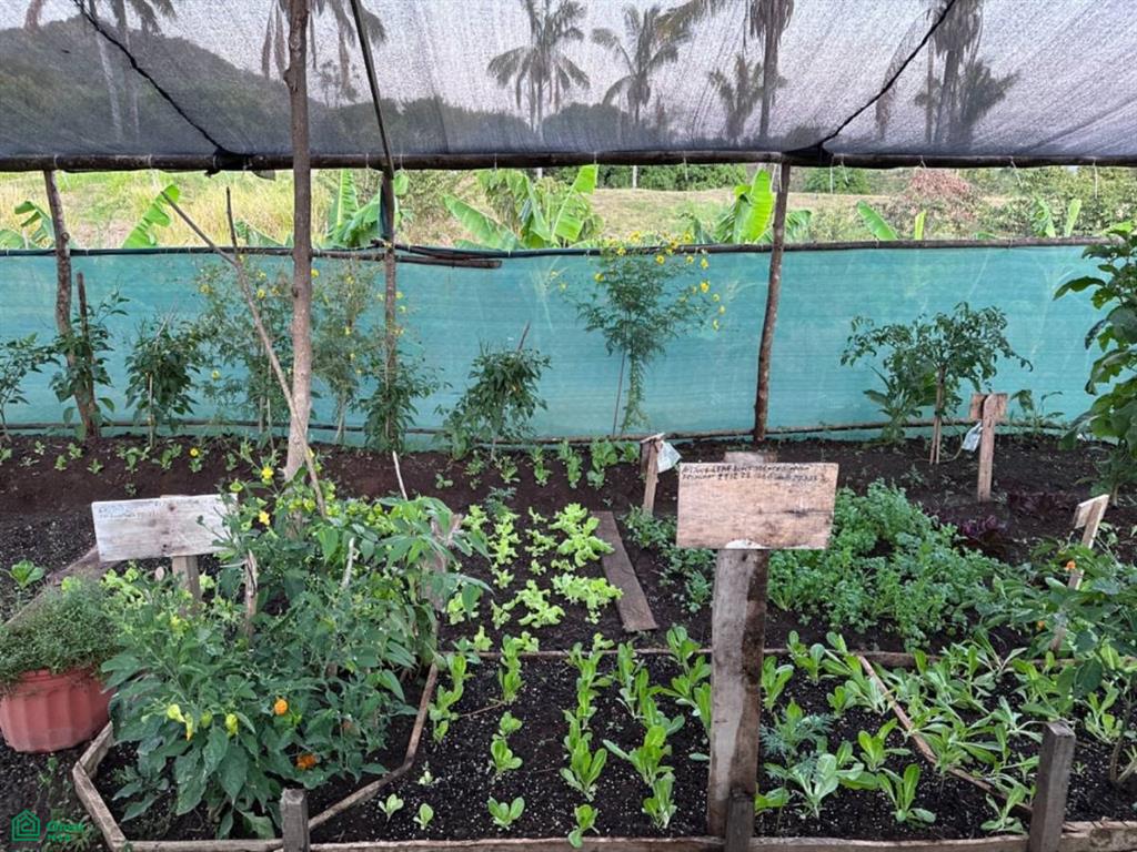 Harmonic Farms, Playa Camaronal , Zapotal, Nandayure, Guanacaste