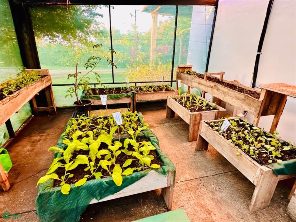 Harmonic Farms, Playa Camaronal , Zapotal, Nandayure, Guanacaste