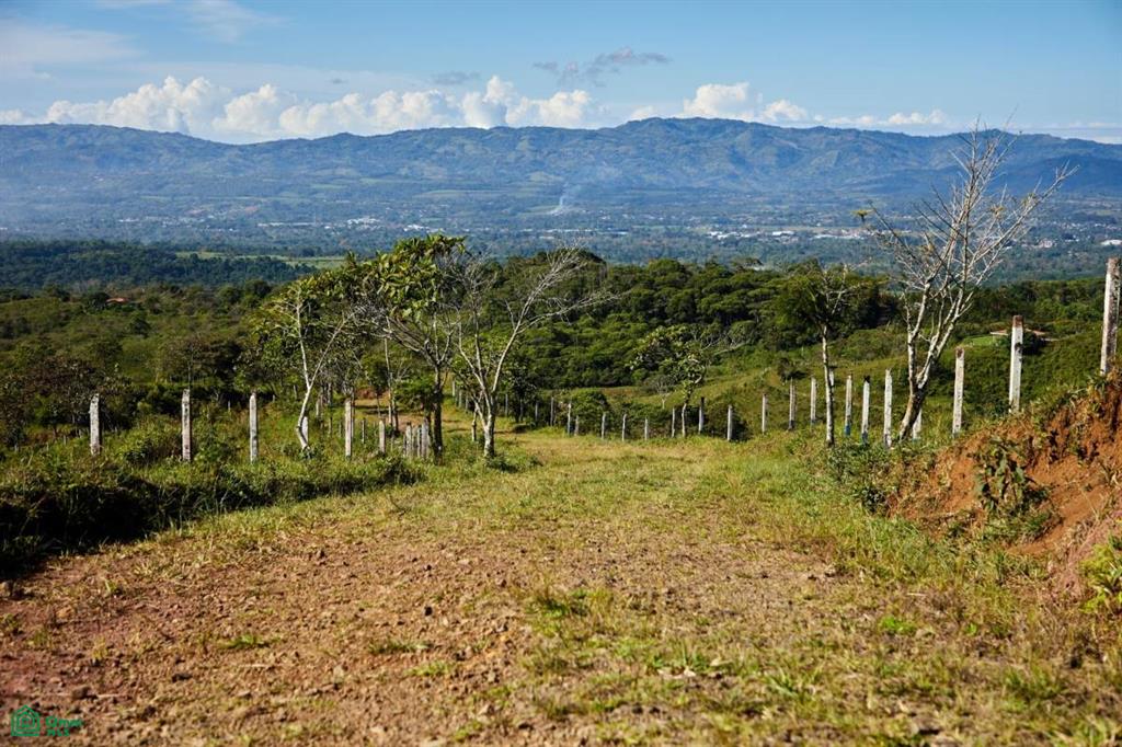Santa Elena , General, Perez Zeledon, San Jose