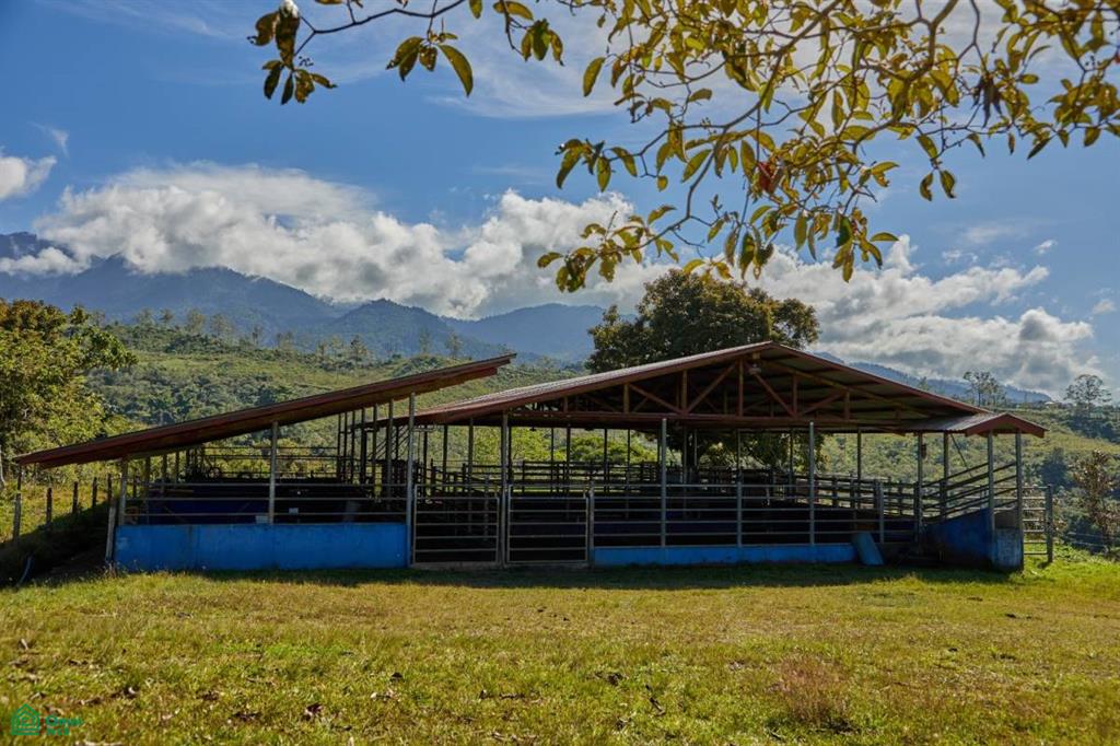 Santa Elena , General, Perez Zeledon, San Jose