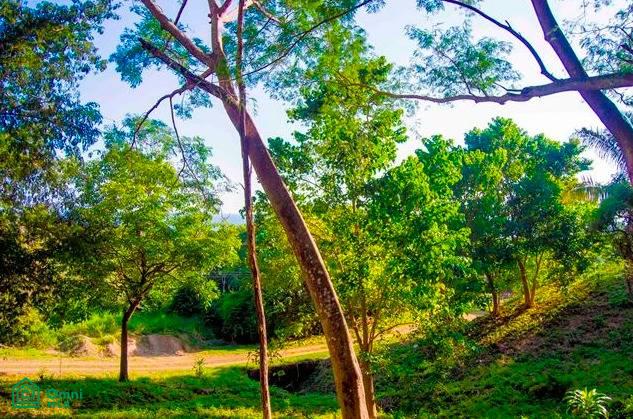 La Reserva Camaronal Lot 6 / Playa Camaronal , Zapotal, Nandayure, Guanacaste