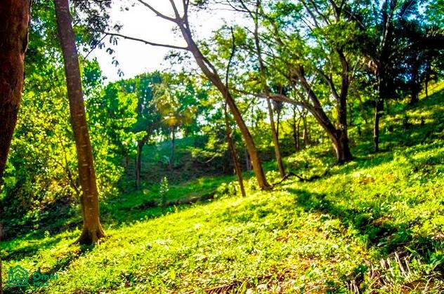 La Reserva Camaronal Lot 6 / Playa Camaronal , Zapotal, Nandayure, Guanacaste