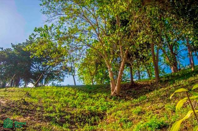 La Reserva Camaronal Lot 9 / Playa Camaronal , Zapotal, Nandayure, Guanacaste