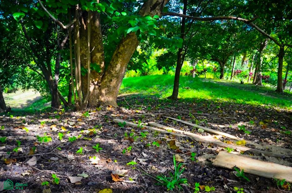 La Reserva Camaronal Lot 9 / Playa Camaronal , Zapotal, Nandayure, Guanacaste