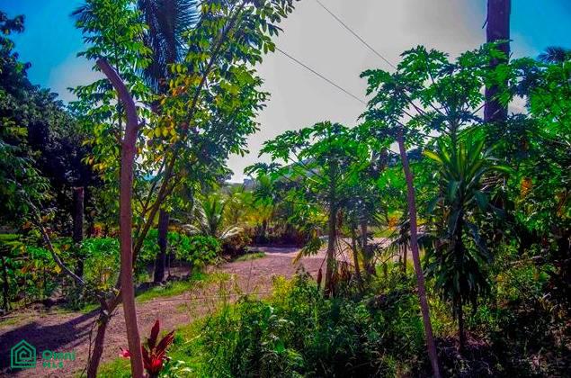 La Reserva Camaronal Lot 9 / Playa Camaronal , Zapotal, Nandayure, Guanacaste