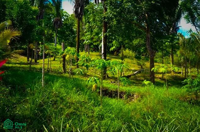 La Reserva Camaronal Lot 10 / Playa Camaronal , Zapotal, Nandayure, Guanacaste