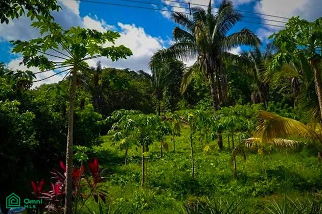 La Reserva Camaronal Lot 11 / Playa Camaronal , Zapotal, Nandayure, Guanacaste