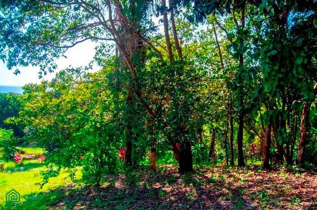 La Reserva Camaronal Lot 11 / Playa Camaronal , Zapotal, Nandayure, Guanacaste