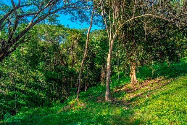 La Reserva Camaronal Lot 12 / Playa Camaronal , Zapotal, Nandayure, Guanacaste